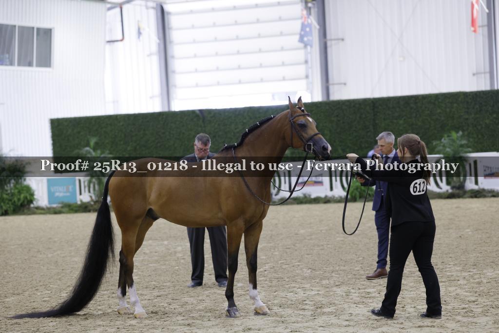 Proof 25R13_01218