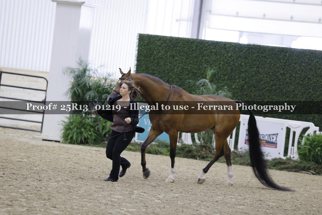 Proof 25R13_01219
