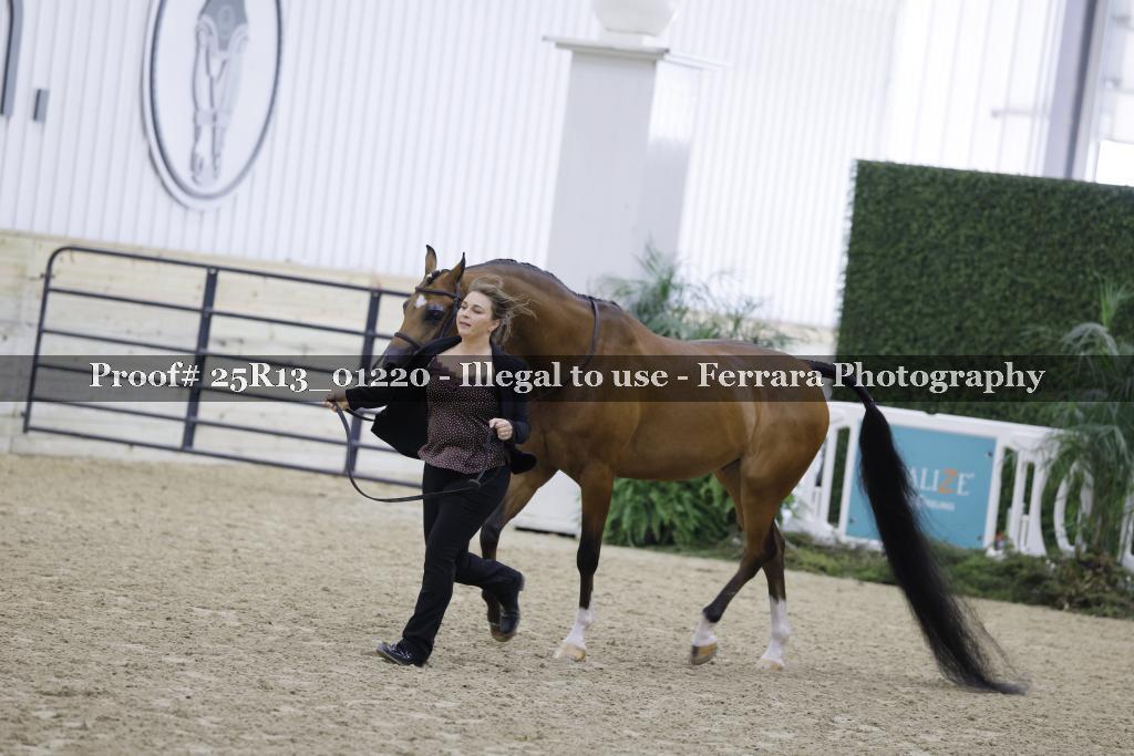 Proof 25R13_01220