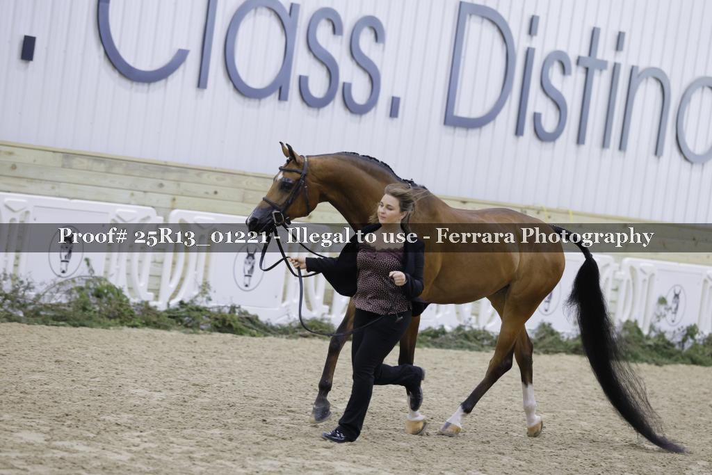 Proof 25R13_01221