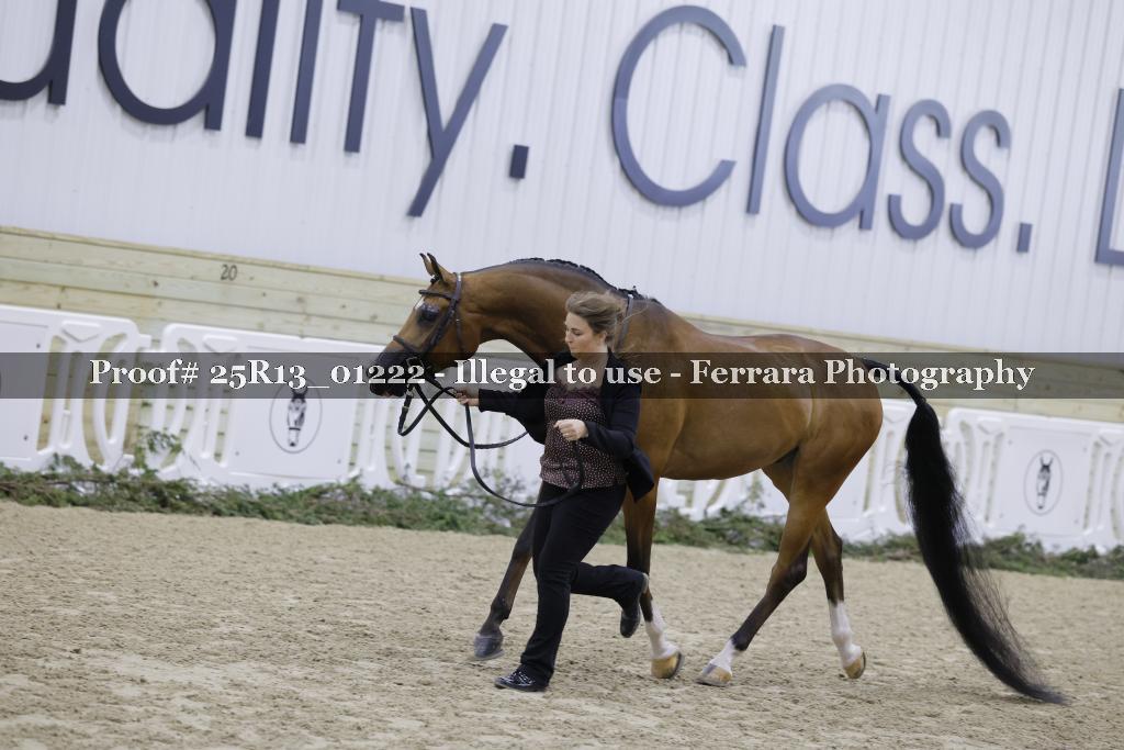 Proof 25R13_01222