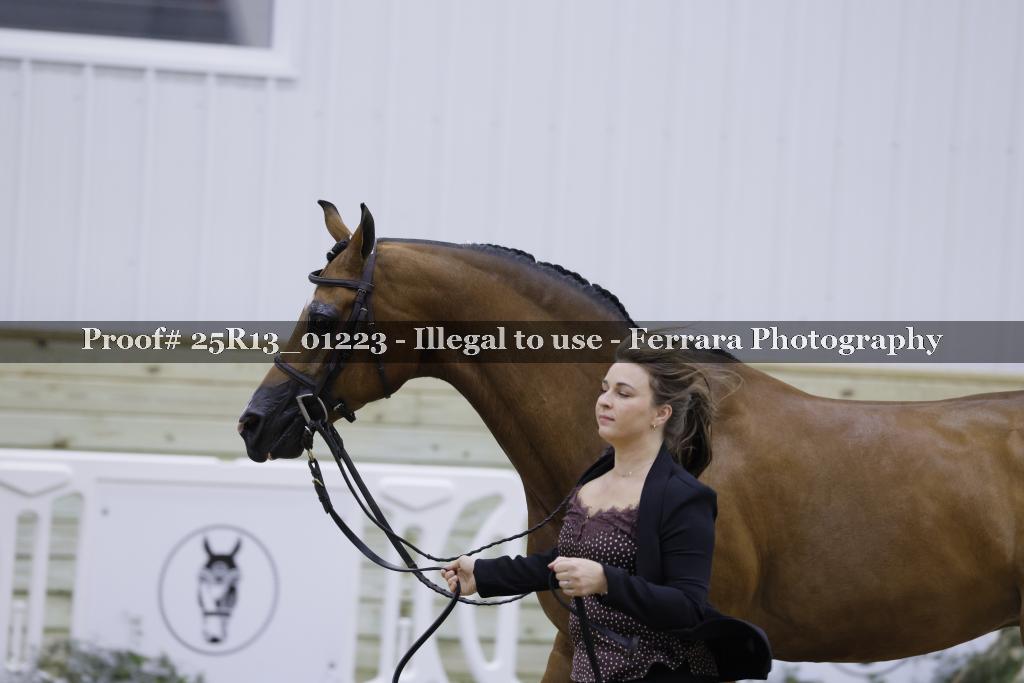 Proof 25R13_01223