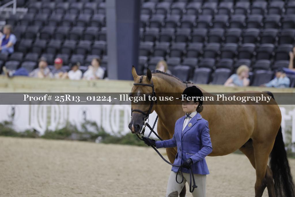 Proof 25R13_01224
