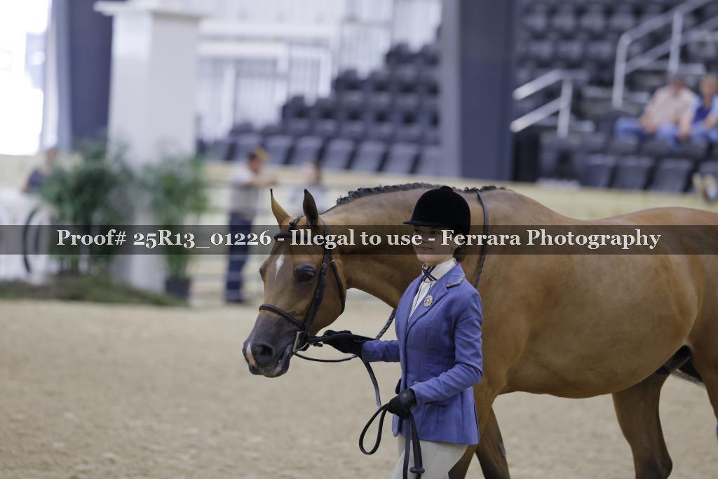 Proof 25R13_01226