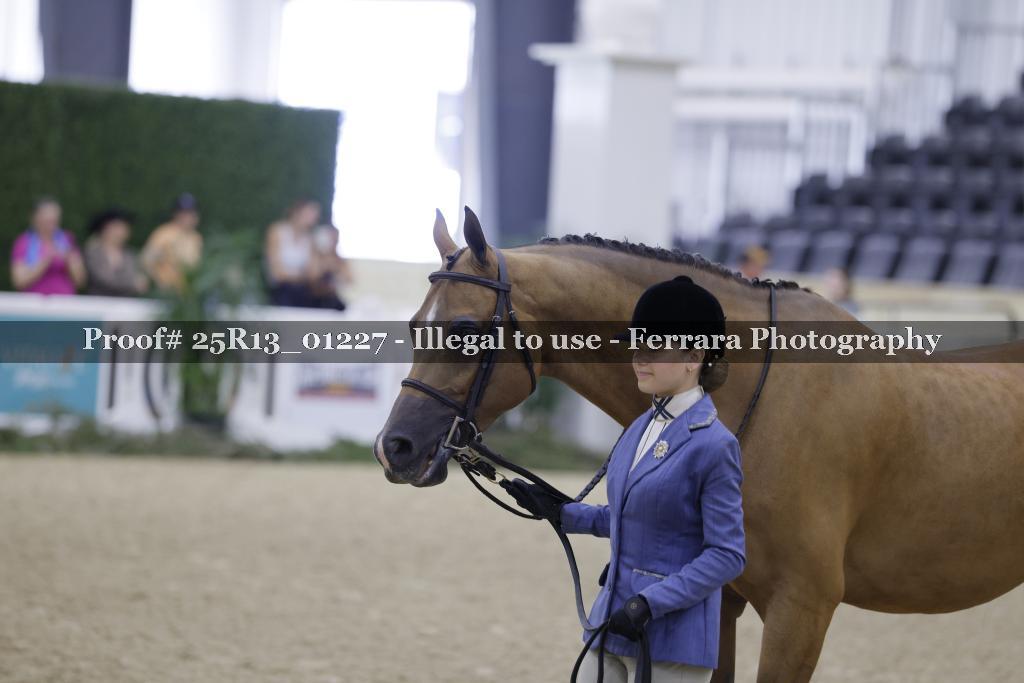 Proof 25R13_01227