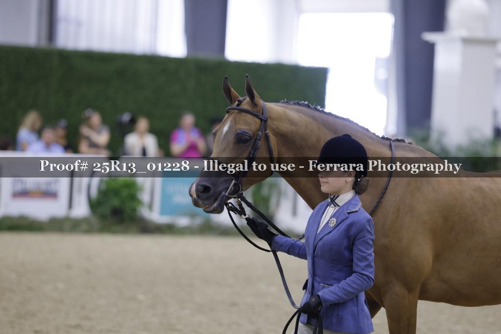 Proof 25R13_01228