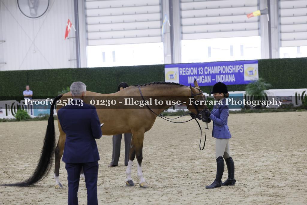 Proof 25R13_01230