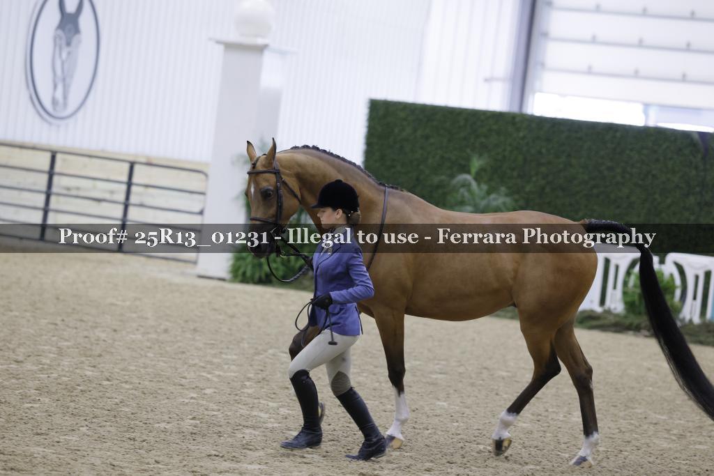 Proof 25R13_01231