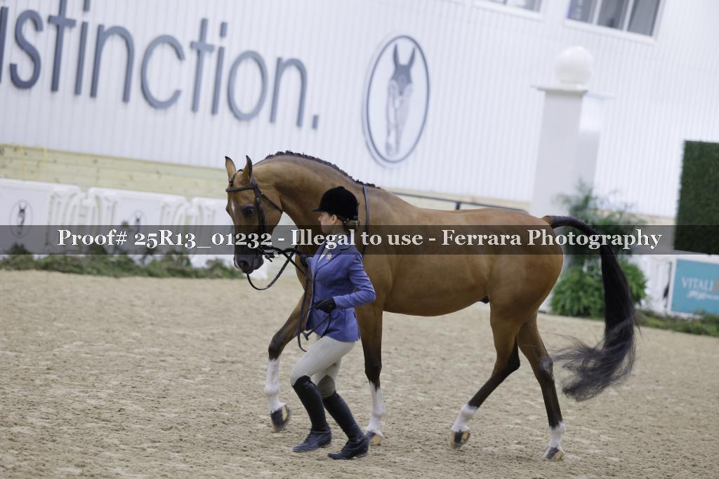 Proof 25R13_01232