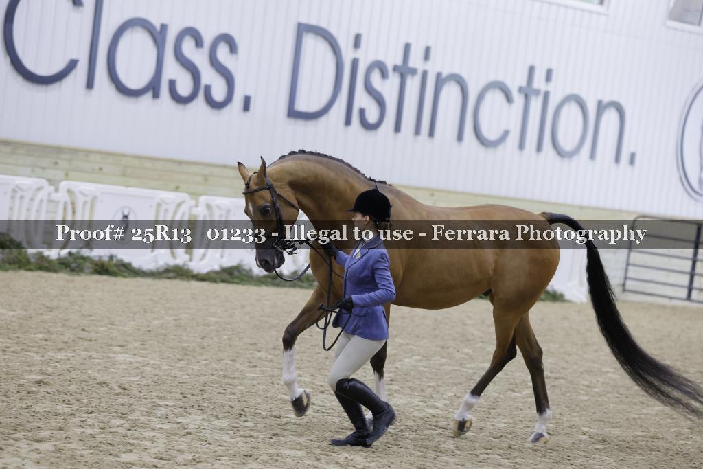 Proof 25R13_01233