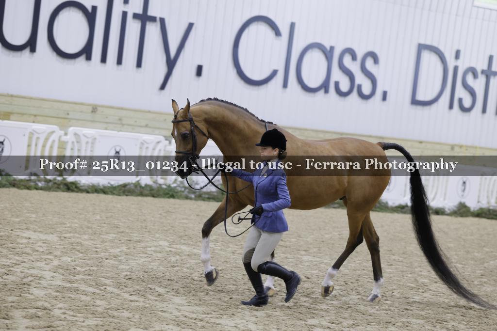 Proof 25R13_01234