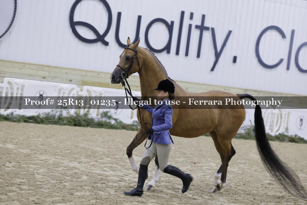 Proof 25R13_01235