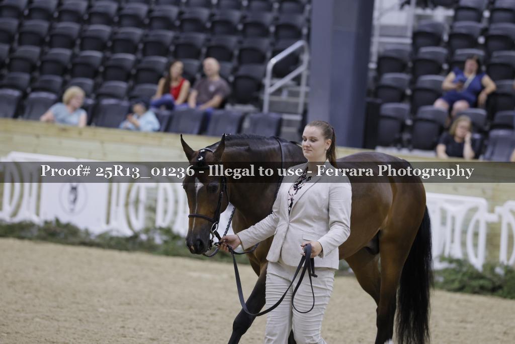 Proof 25R13_01236
