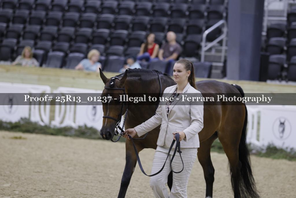 Proof 25R13_01237