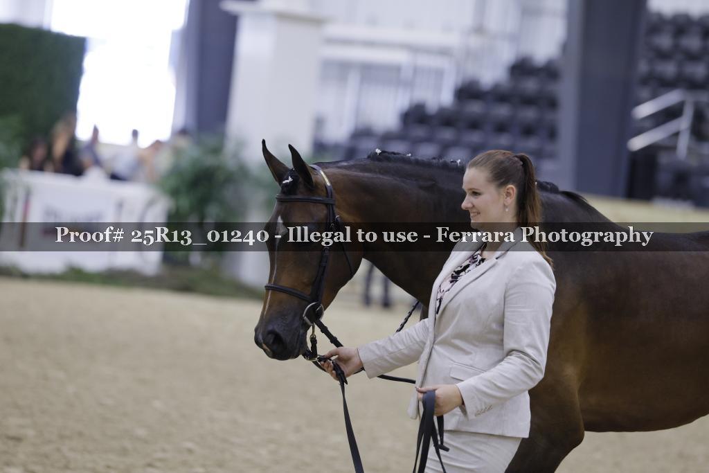 Proof 25R13_01240