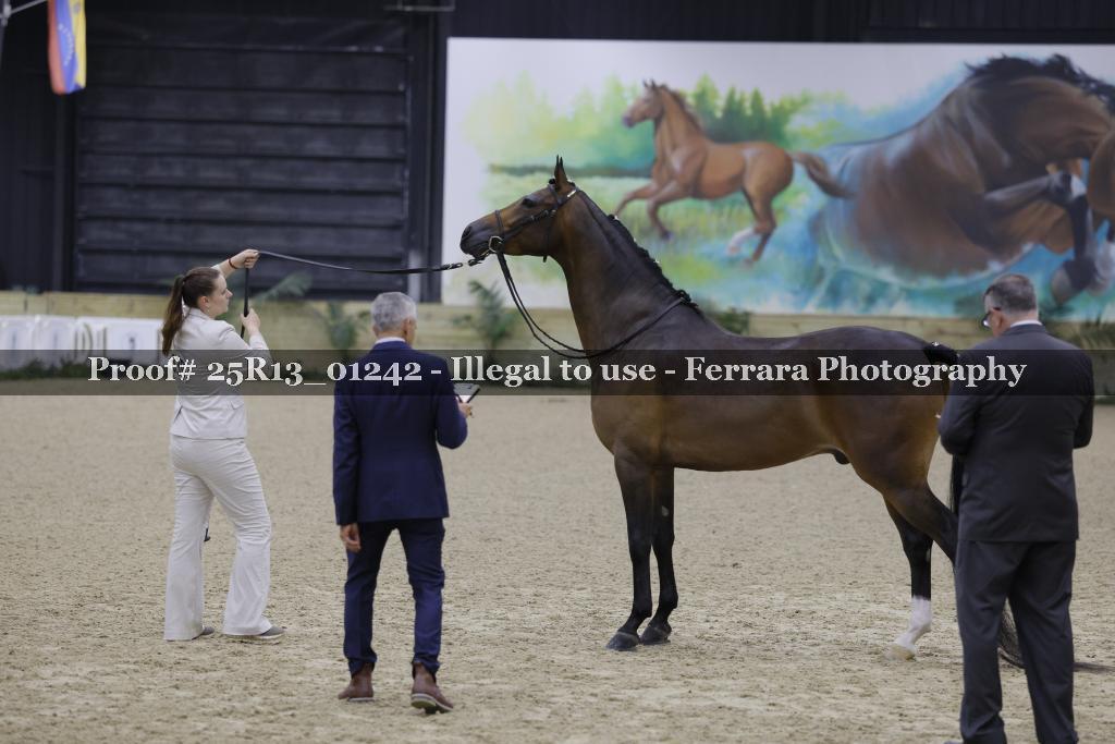 Proof 25R13_01242