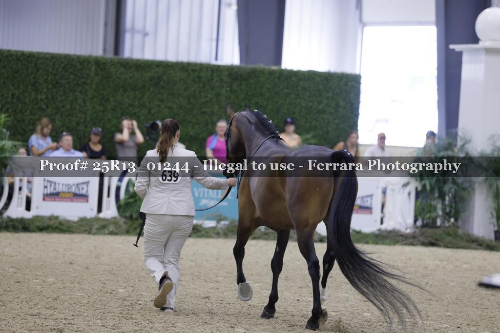 Proof 25R13_01244