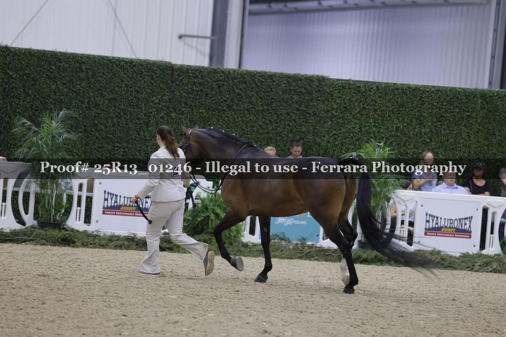 Proof 25R13_01246