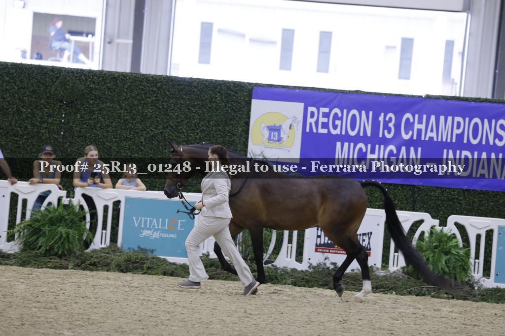 Proof 25R13_01248