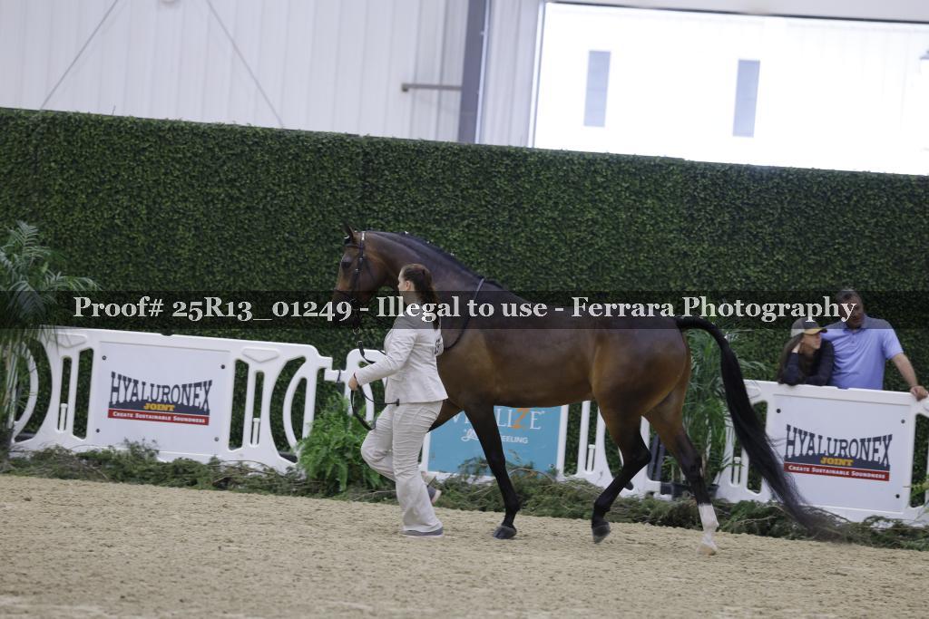 Proof 25R13_01249