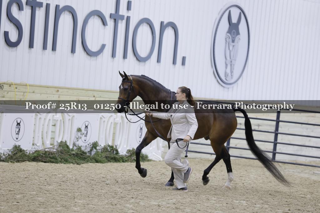 Proof 25R13_01250