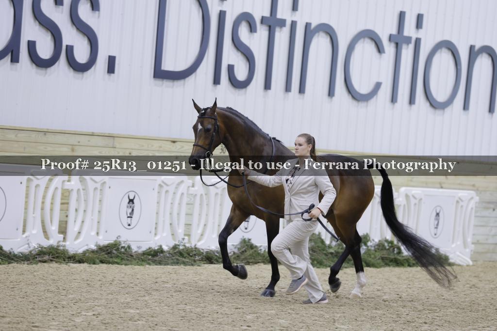 Proof 25R13_01251