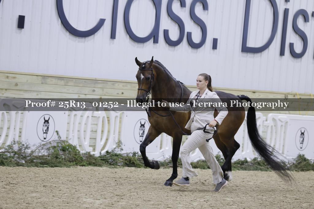 Proof 25R13_01252