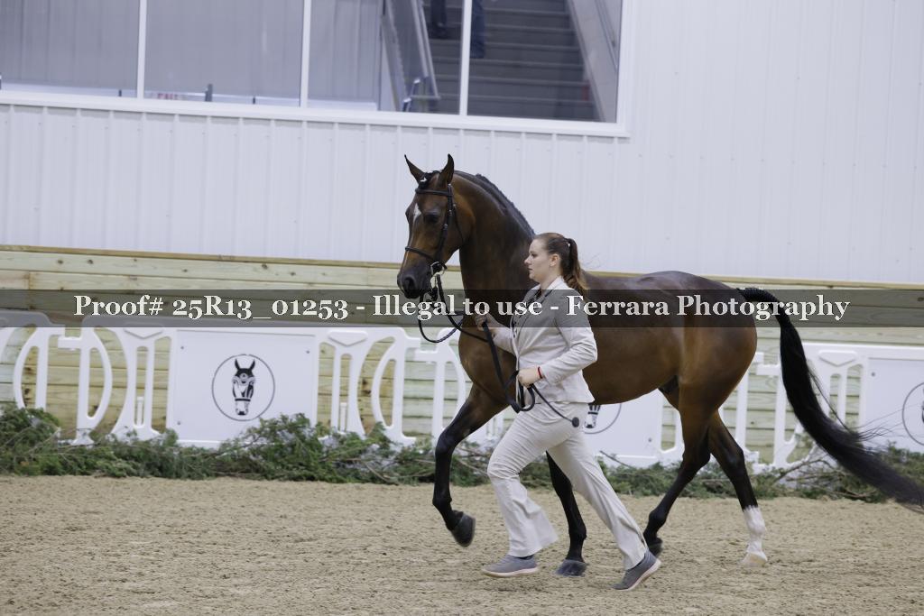 Proof 25R13_01253