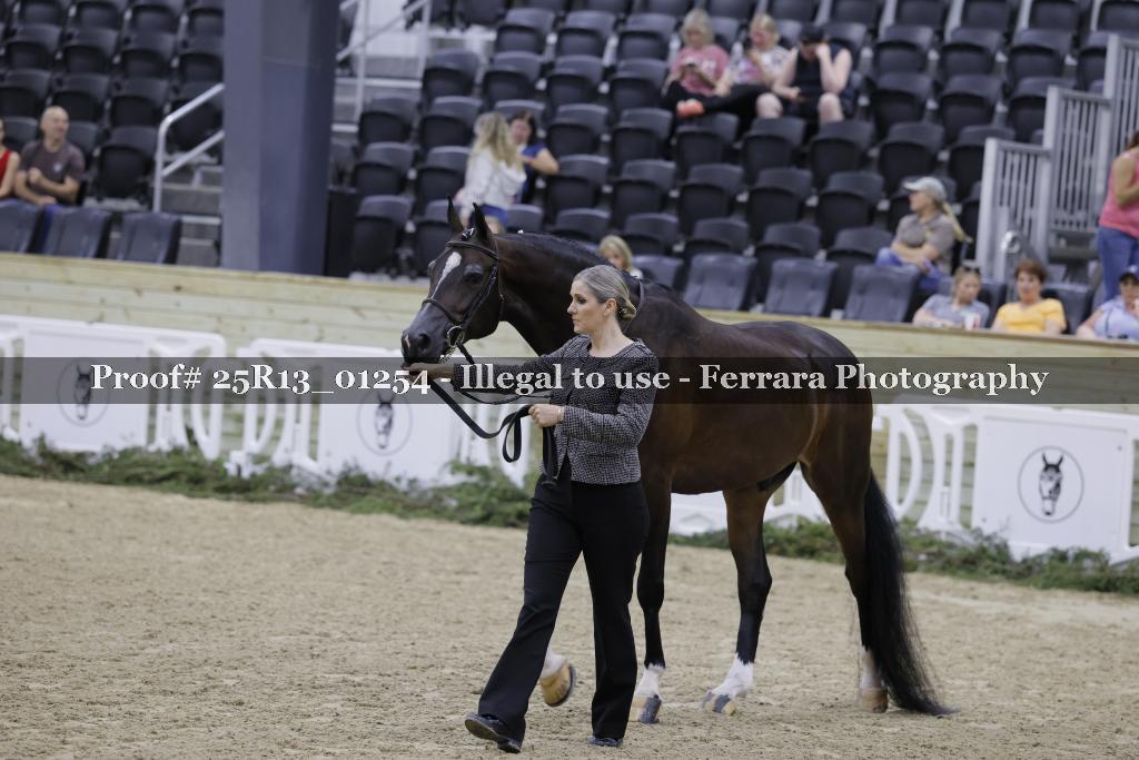 Proof 25R13_01254