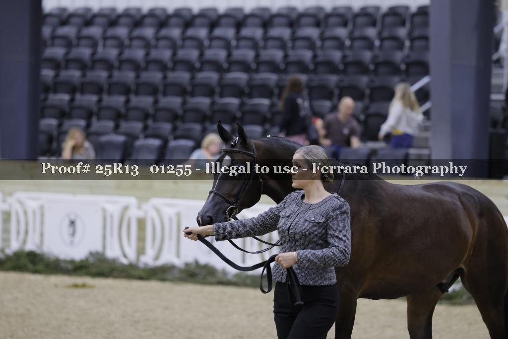 Proof 25R13_01255