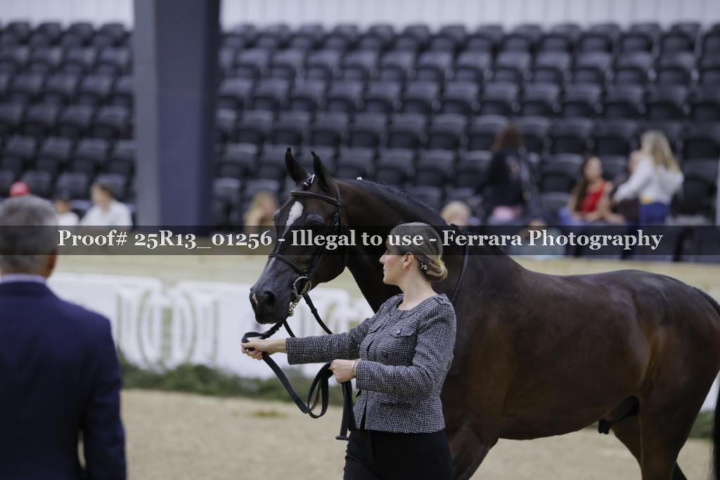 Proof 25R13_01256