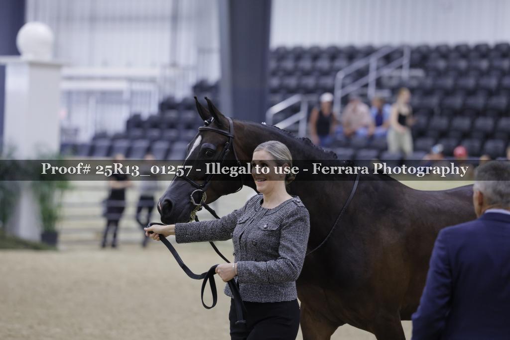 Proof 25R13_01257