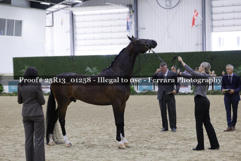 Proof 25R13_01258