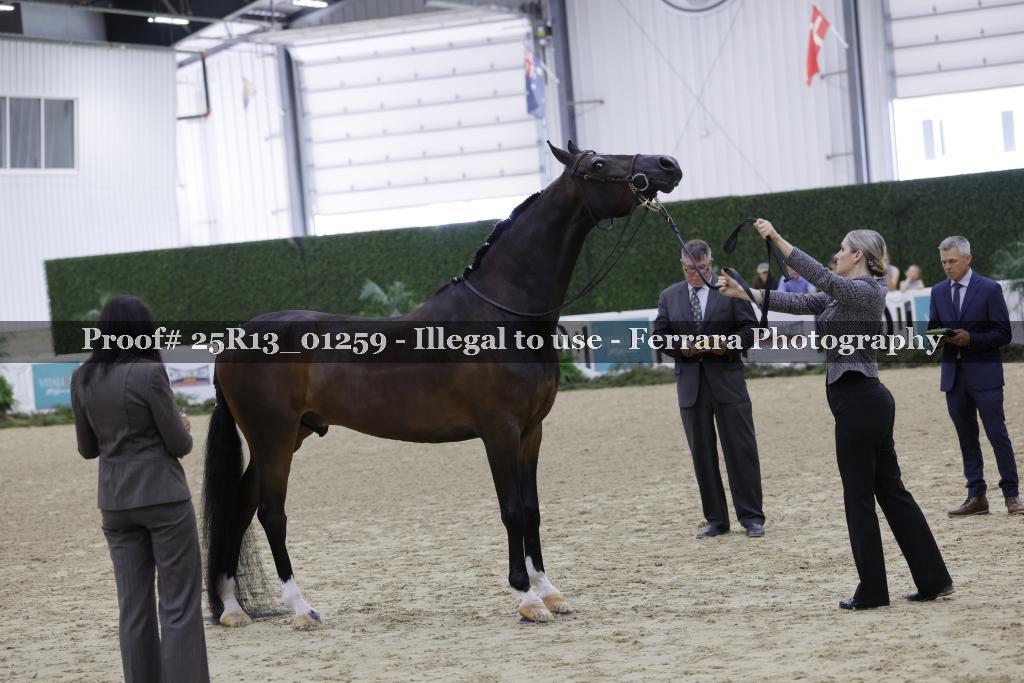 Proof 25R13_01259