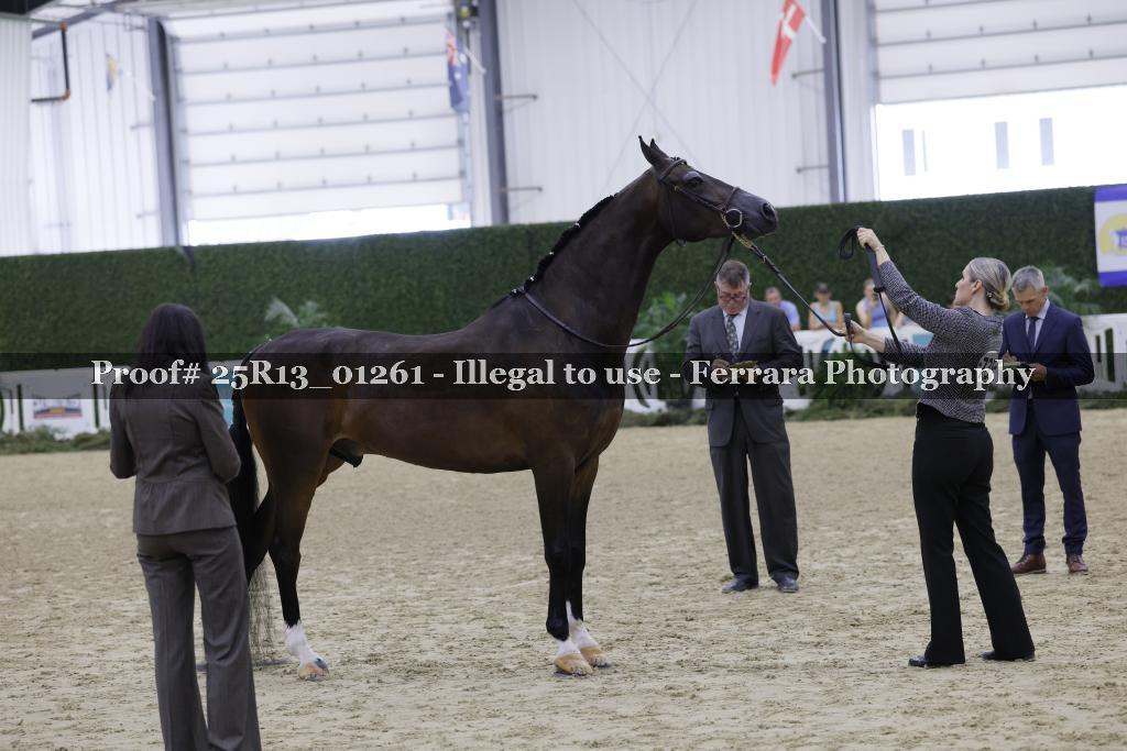 Proof 25R13_01261
