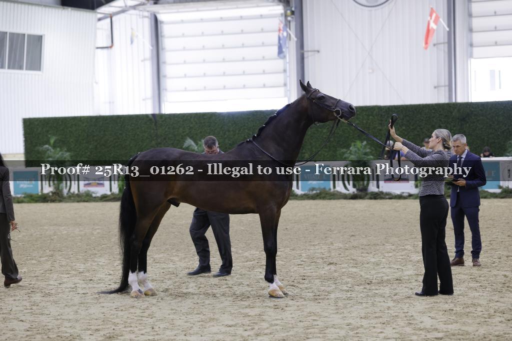 Proof 25R13_01262