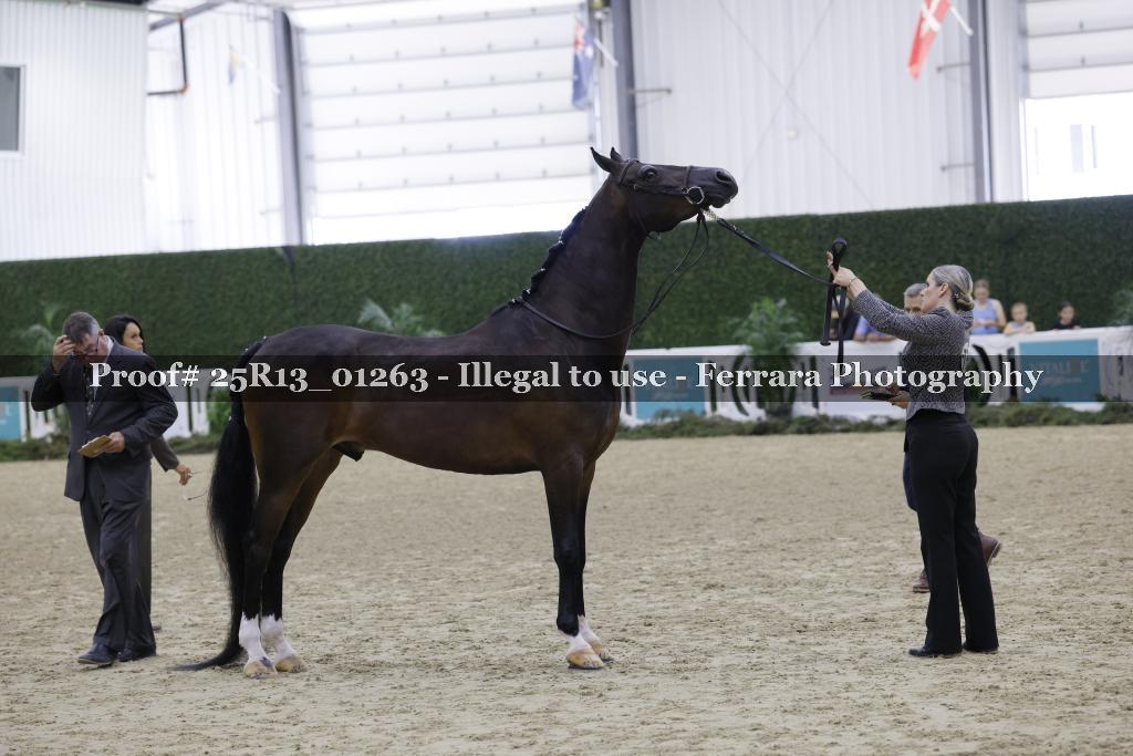 Proof 25R13_01263