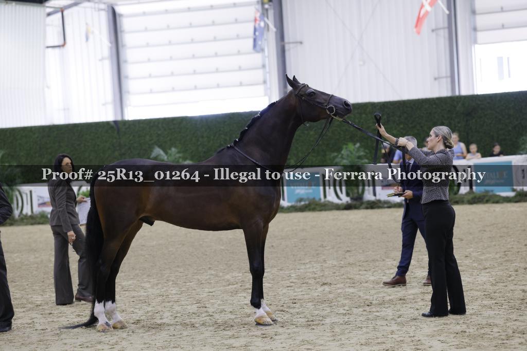 Proof 25R13_01264