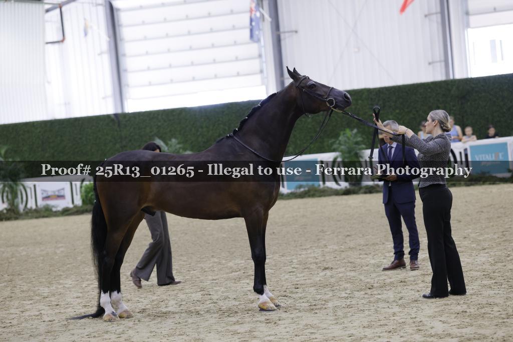 Proof 25R13_01265
