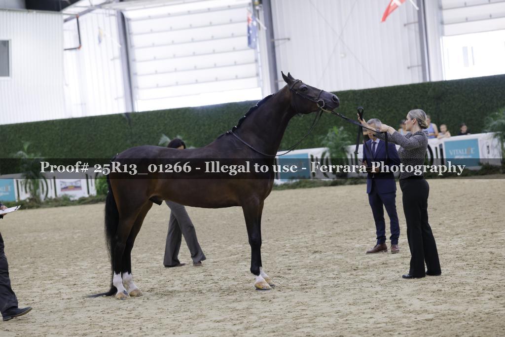Proof 25R13_01266