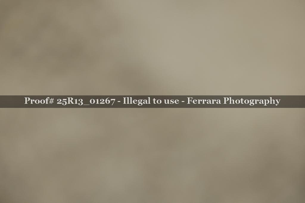 Proof 25R13_01267