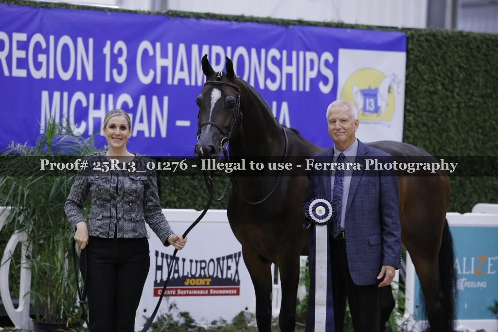 Proof 25R13_01276