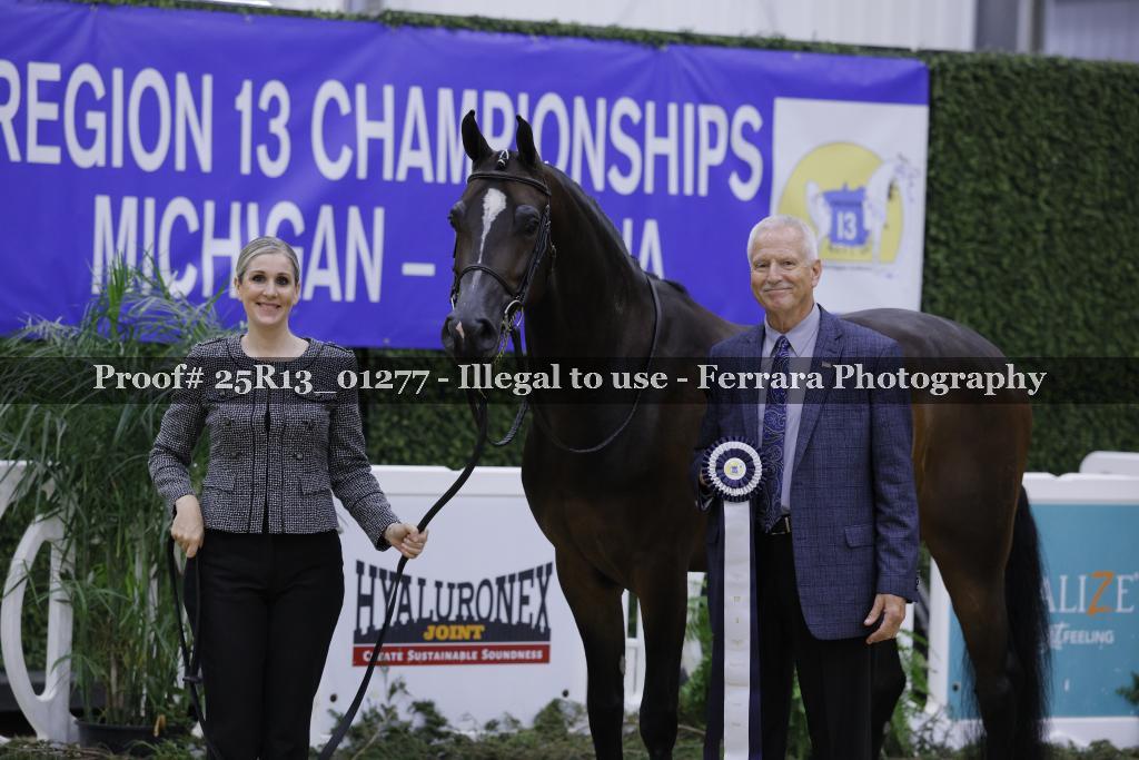Proof 25R13_01277