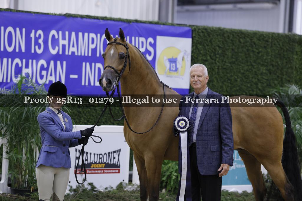 Proof 25R13_01279