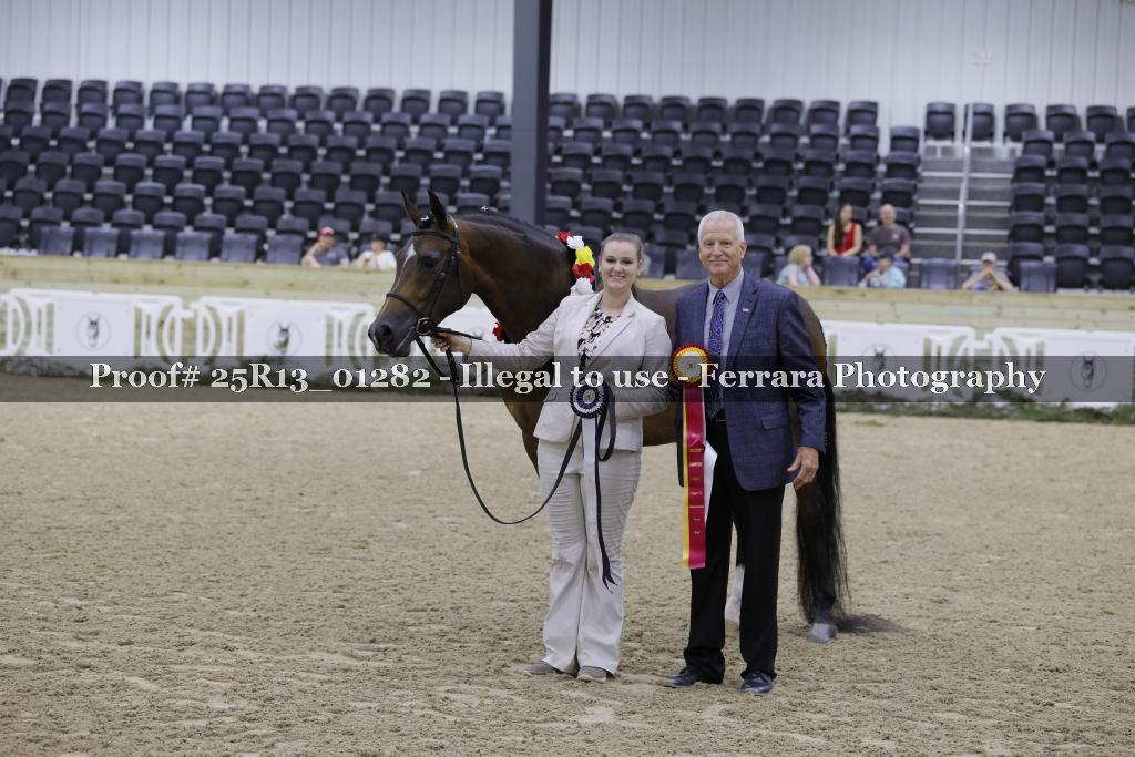 Proof 25R13_01282