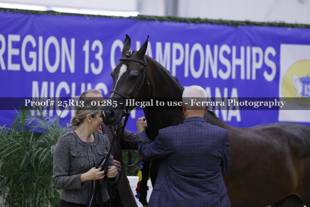 Proof 25R13_01285