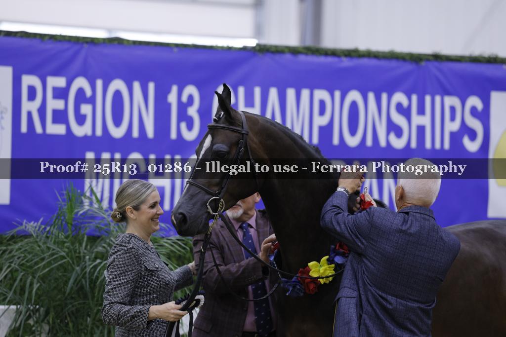 Proof 25R13_01286