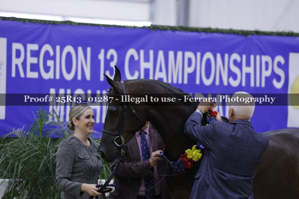 Proof 25R13_01287