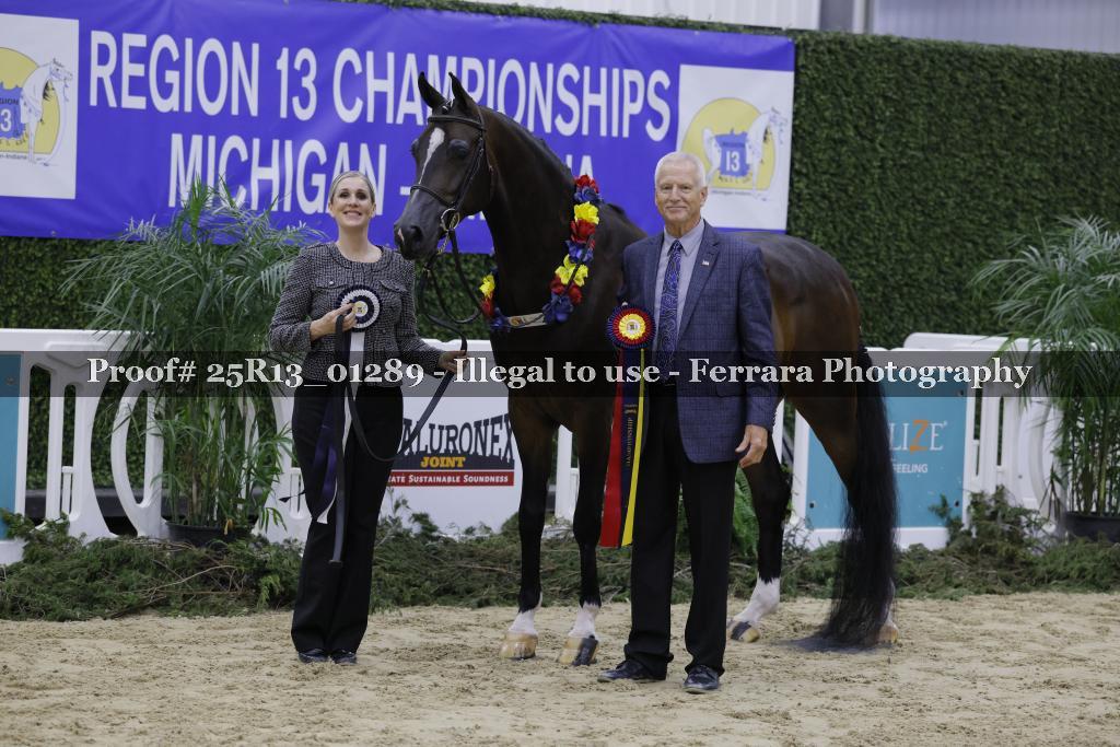 Proof 25R13_01289