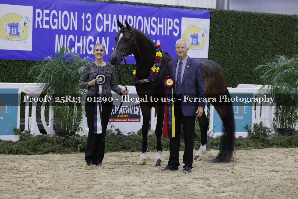 Proof 25R13_01290